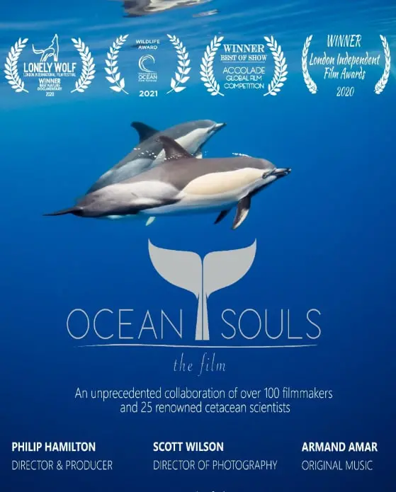 《海洋之魂》：当深海秘境遇上《法官大人》，一场关于责任与救赎的史诗级冒险！